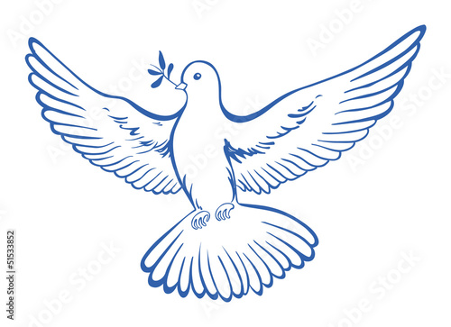 pigeon,dove