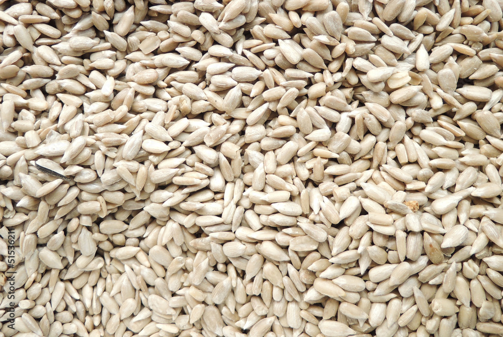dried peeled sunflower seed for background uses dried peeled sunflower seed for background uses