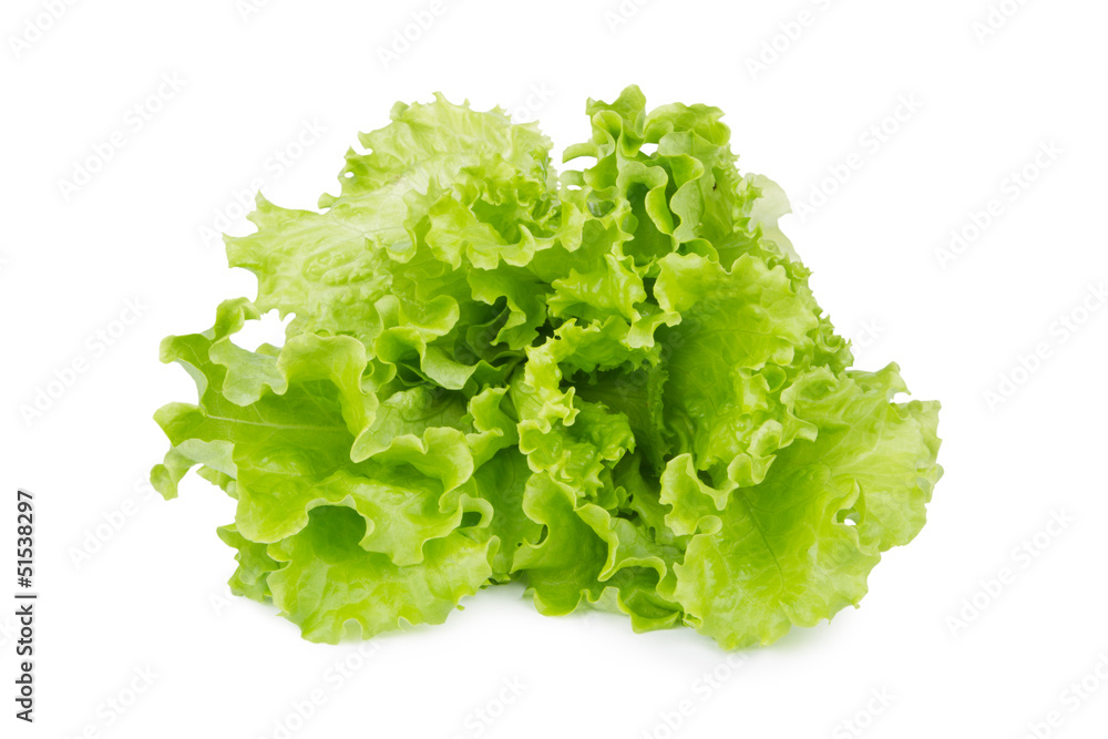 Lettuce salad Lettuce salad