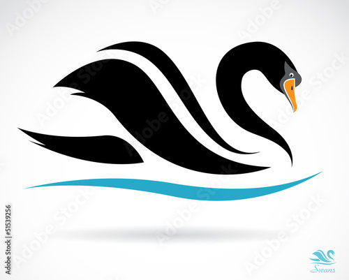 Vector of a swan on a black background. Animal. Easy editable layered vector illustration.