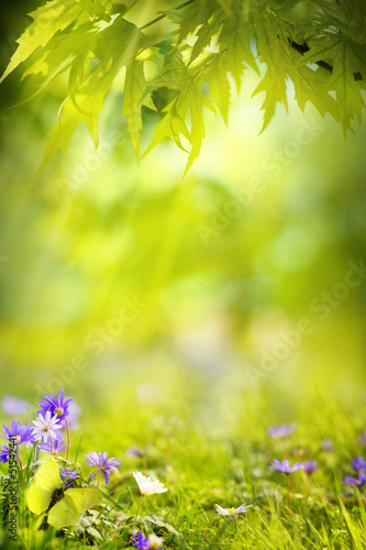 art spring nature green background