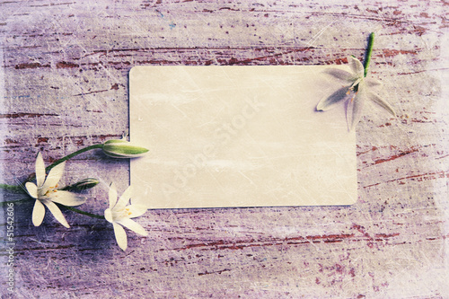 Fototapeta Naklejka Na Ścianę i Meble -  Greeting card, vintage