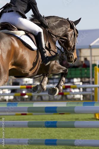 Horse jump a hurdle in a competition/Equestrian jumper © GIROMIN Studio