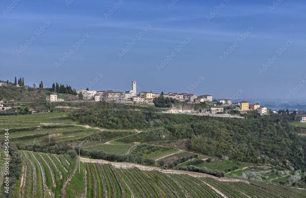 Panoramic view of San Giorgio Valpolicella