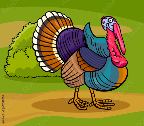turkey farm bird animal cartoon illustration