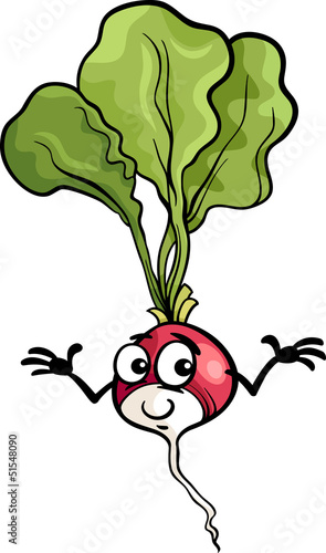 cute radish vegetable cartoon illustration