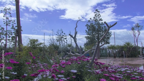 profesional timelapse