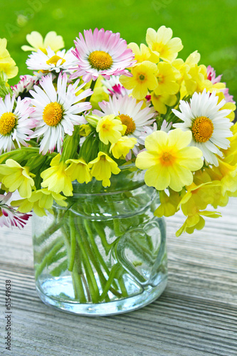 Wallpaper Mural frühlingsblumen Torontodigital.ca