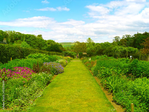 Beautiful summer garden