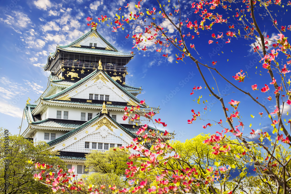 Fototapeta premium Zamek w Osace do celów reklamowych lub innych