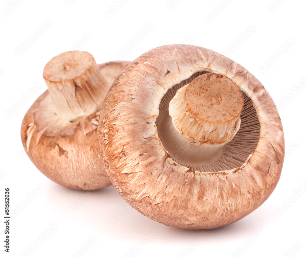 Brown champignon mushroom Brown champignon mushroom
