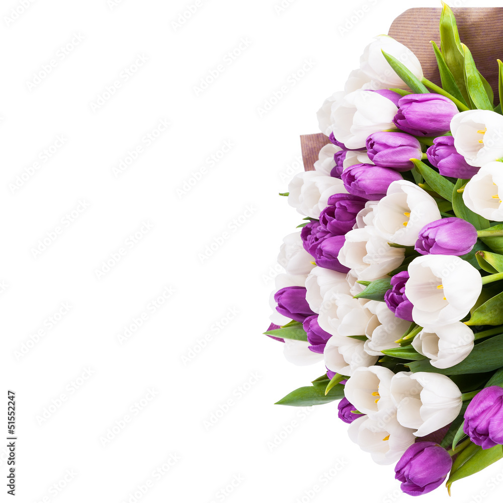 Bouquet of tulips isolated on white background Bouquet of tulips isolated on white background