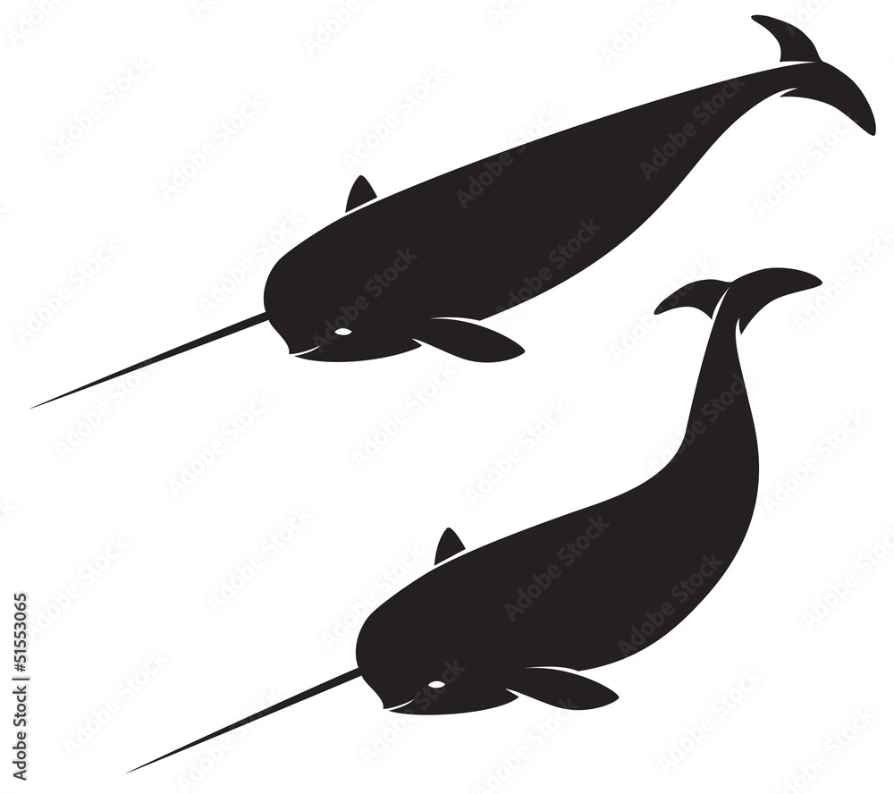 Obraz premium jednorożec