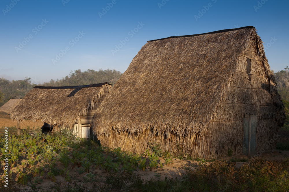 Secadero - house for drying the tobacco Secadero - house for drying the tobacco