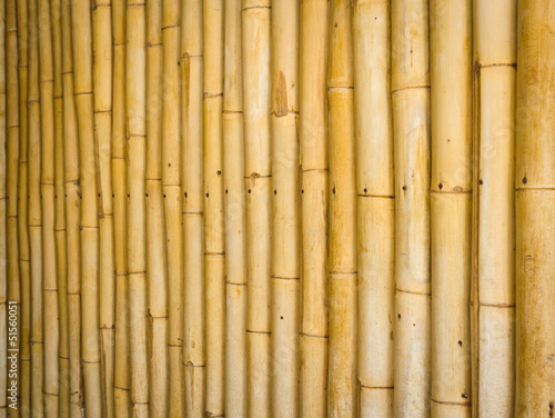 Fototapeta Naklejka Na Ścianę i Meble -  Bamboo wall background