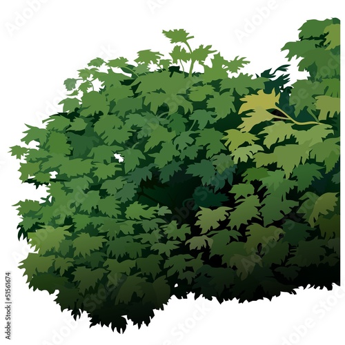 Shrub - Cartoon Plant