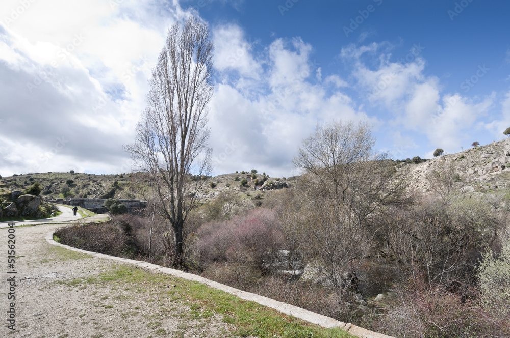 Obraz premium Riparian forest along the river Manzanares, Madrid, Spain