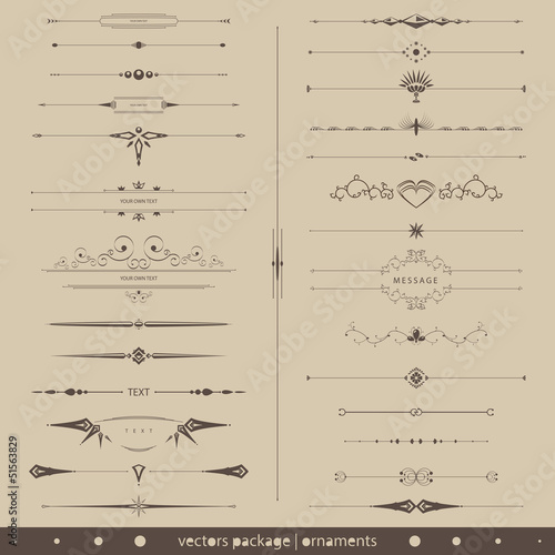 vector set: ornament photo