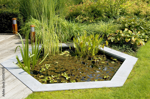 Canvas Print Garden Pond