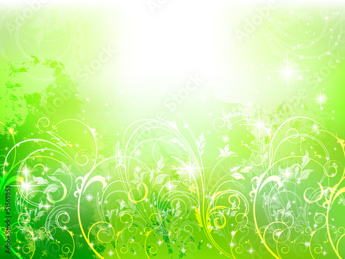 背景　植物　シダ　空