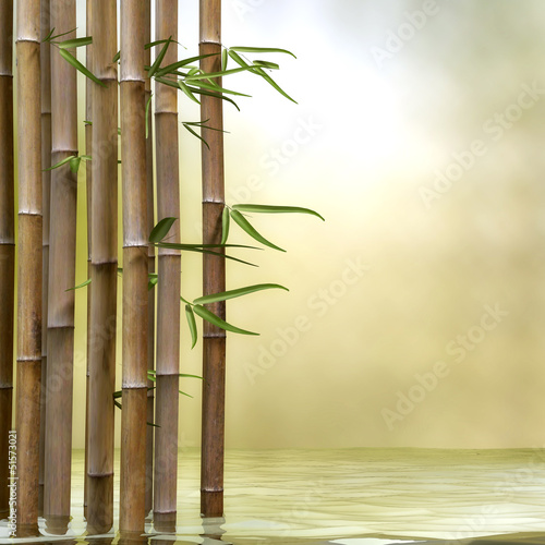 Bambus im Wasser