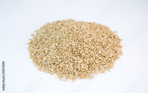 wheat in isolated background