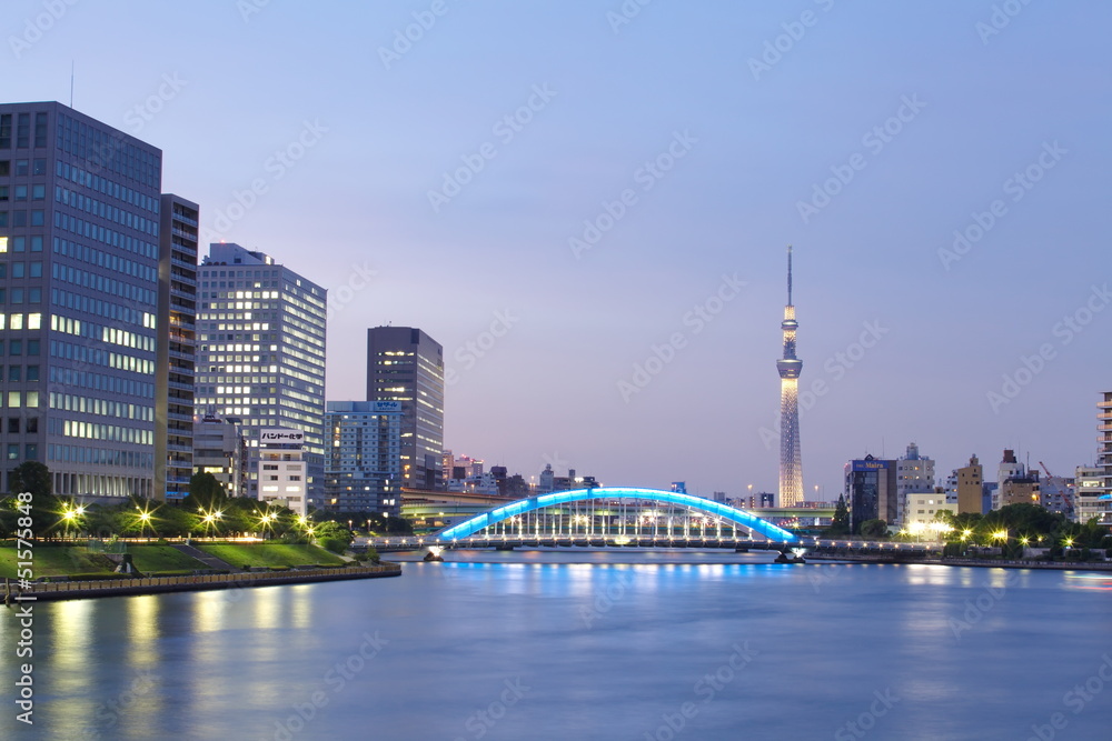 View of Tokyo Sky Tree