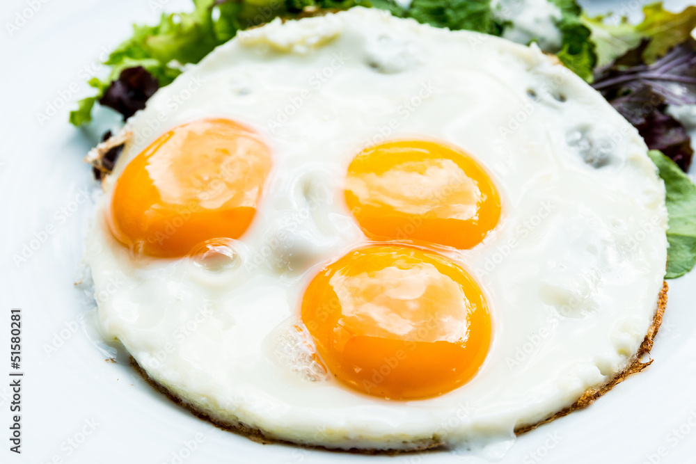 Prepared Egg Prepared Egg