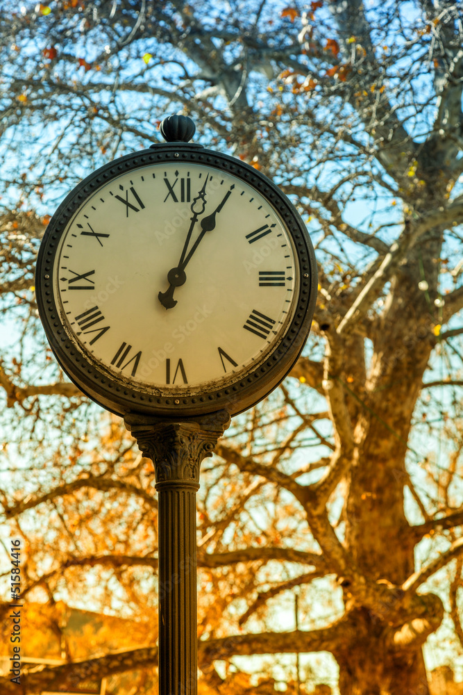 Fototapeta premium Old style clock