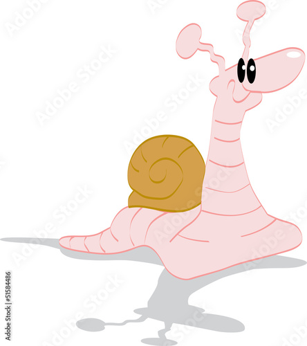 Snail