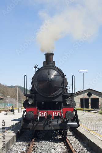 Portrait of steam train