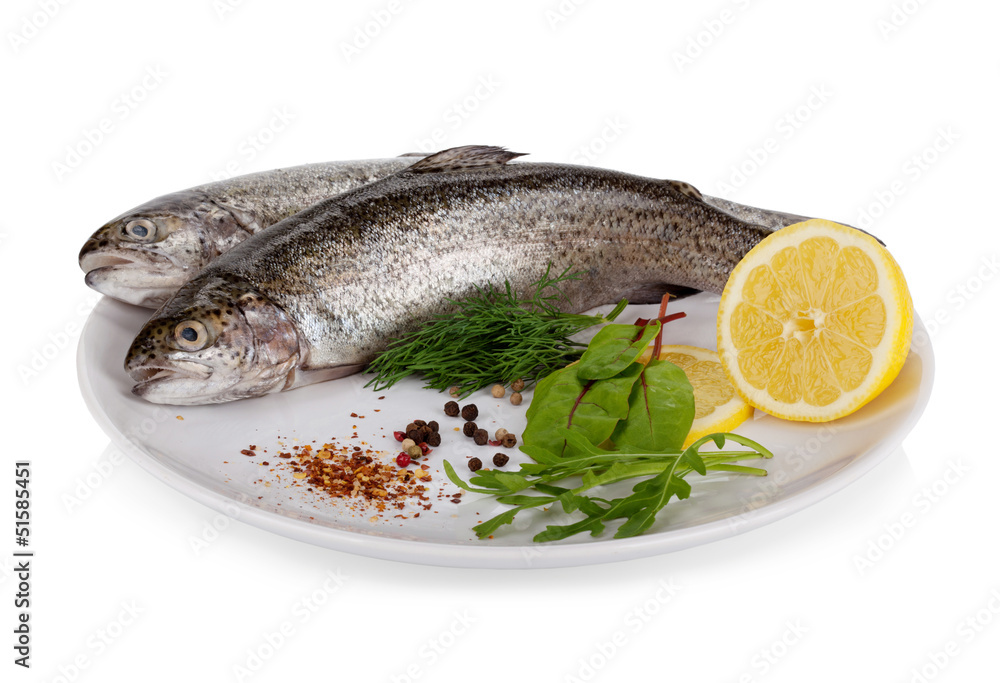 Rainbow trout isolated on white background Rainbow trout isolated on white background