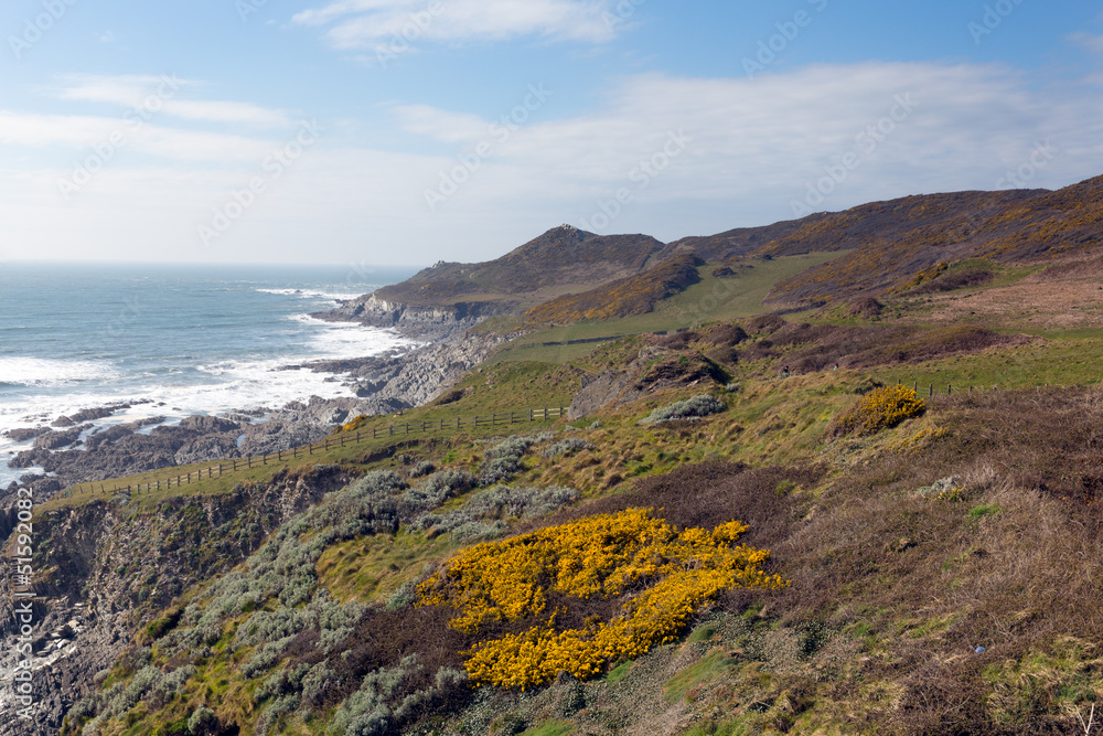 South West Coast Path Woolacombe Devon