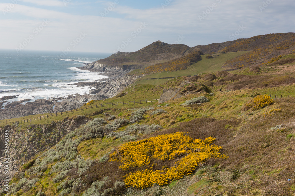 South West Coast path North Devon Woolacombe Devon UK South West Coast path North Devon Woolacombe Devon UK