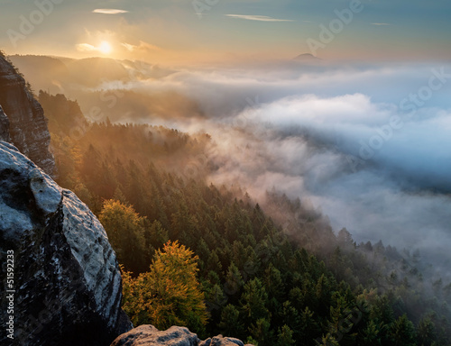 Wallpaper Mural Misty Sunrise Torontodigital.ca