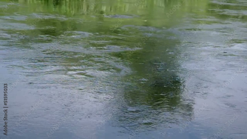 Moving water plants Moving water plants