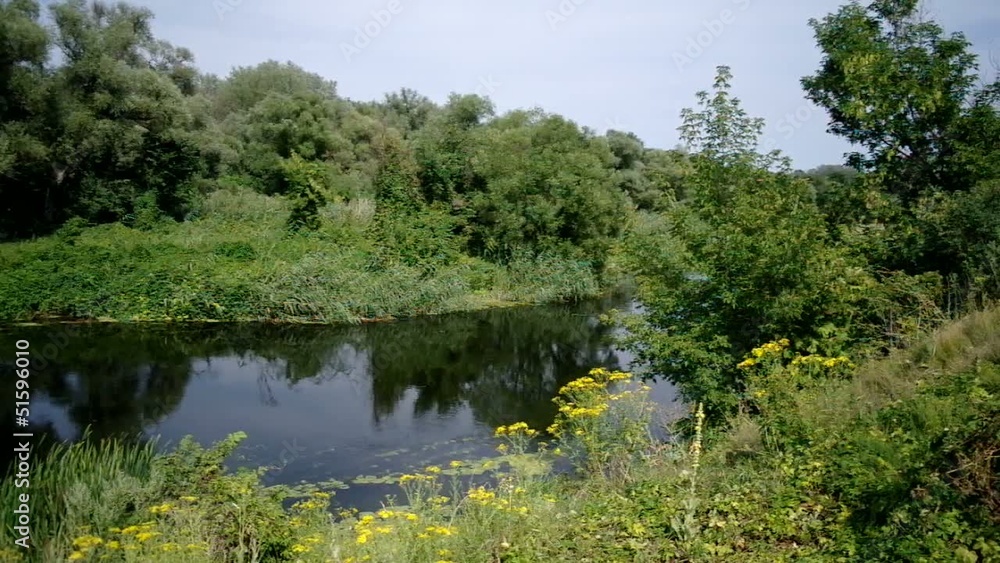 View of the river and coastal vegetation. View of the river and coastal vegetation.