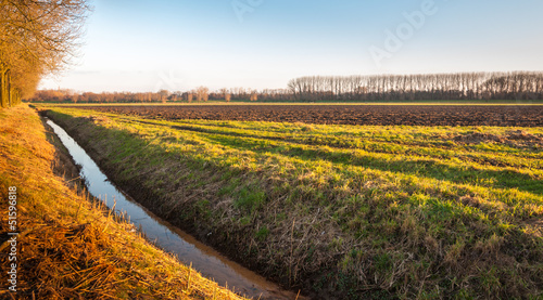 Rural landscape with a ditch photo