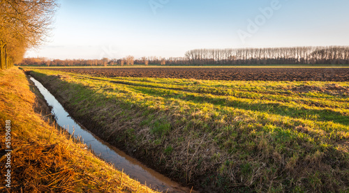 Tableau sur toile Rural landscape with a ditch