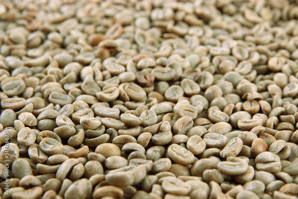 Naklejka premium Green coffee beans, close up