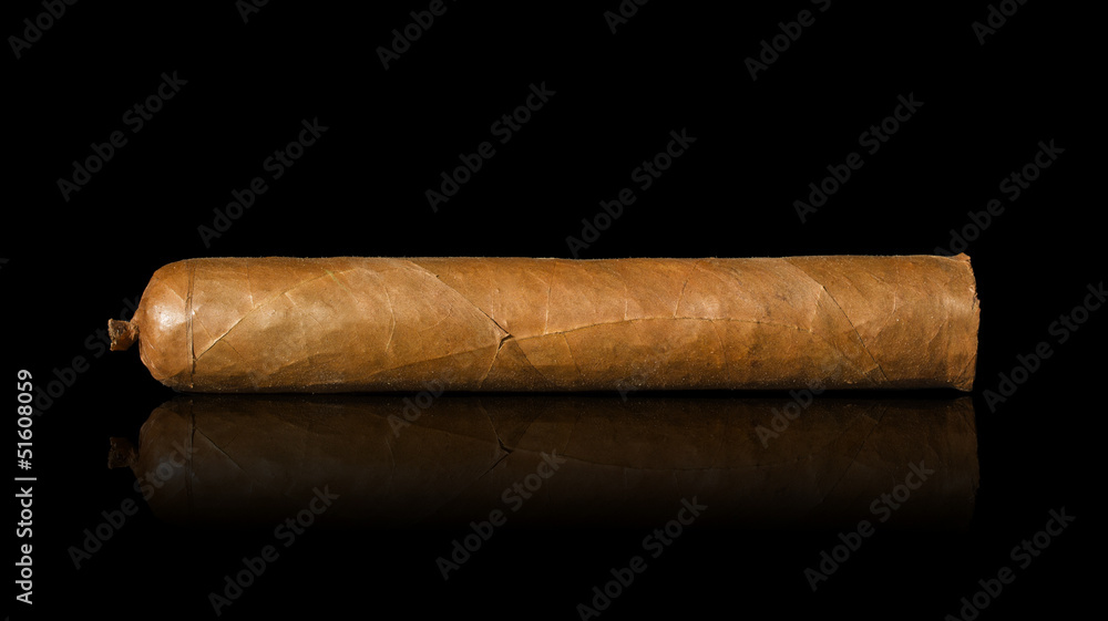 Big Cuban Cigar