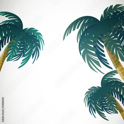 Vector Illustration of Palm Leaves on White Background