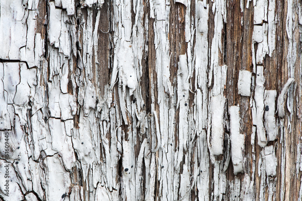 Obraz premium Old cracked paint on boards