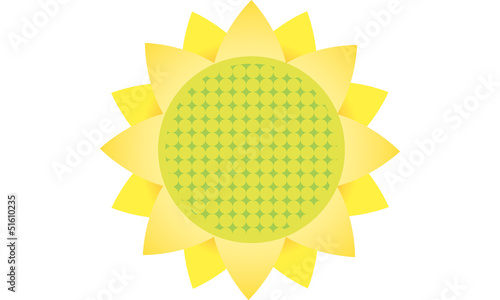tournesol