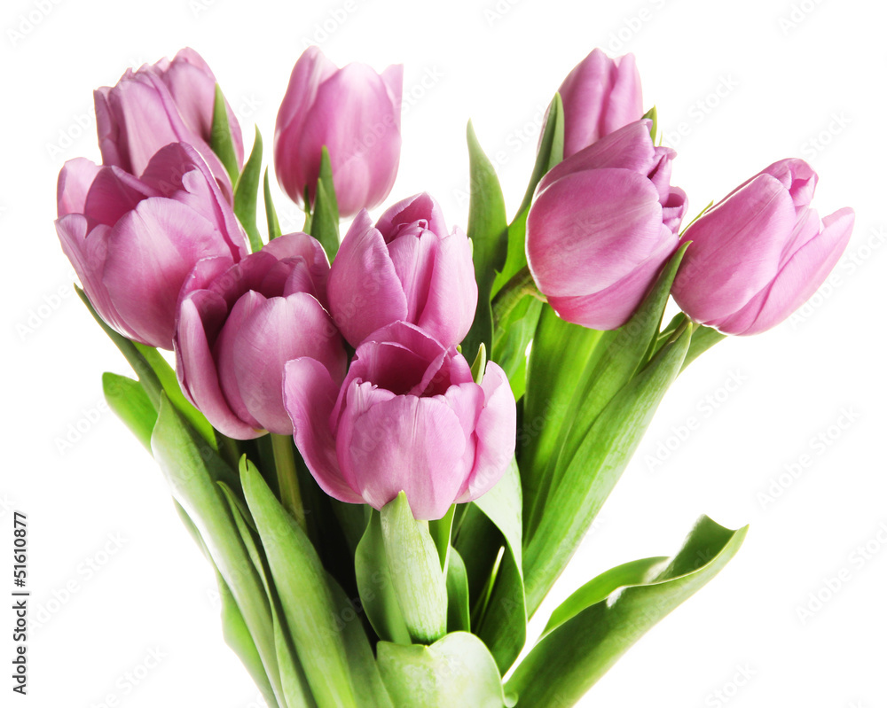 Beautiful bouquet of purple tulips, isolated on white Beautiful bouquet of purple tulips, isolated on white
