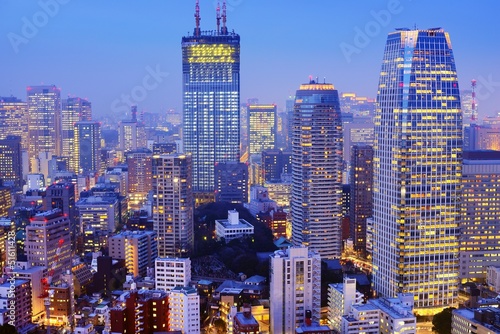 Tokyo Cityscape © SeanPavonePhoto