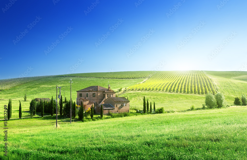 Obraz premium Tuscany landscape with typical farm house