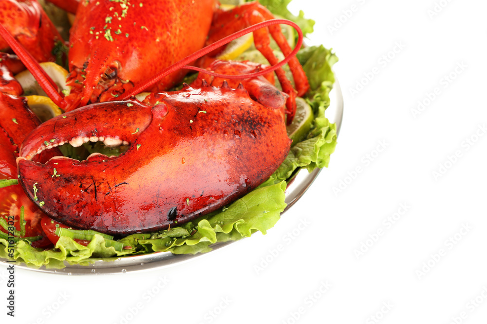 Red lobster on platter with vegetables isolated on white Red lobster on platter with vegetables isolated on white