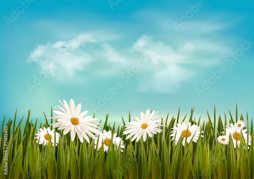 Grass with daisies under blue sky. Retro background. Vector.