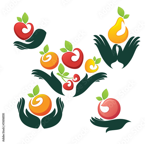 bright fresh fruits in woman hands